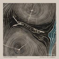 Needtobreathe : Rivers in the Wasteland